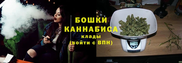 сатива Михайлов