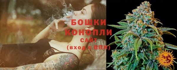 сатива Михайлов
